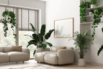 Belső folyamataink és az időminőségek tükröződése a lakásunkban_Merkúr